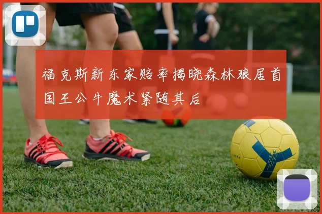 福克斯新东家赔率揭晓森林狼居首国王公牛魔术紧随其后