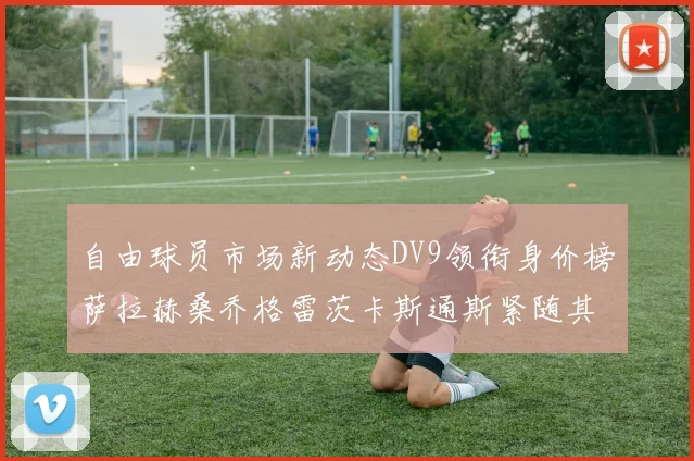 自由球员市场新动态DV9领衔身价榜萨拉赫桑乔格雷茨卡斯通斯紧随其后